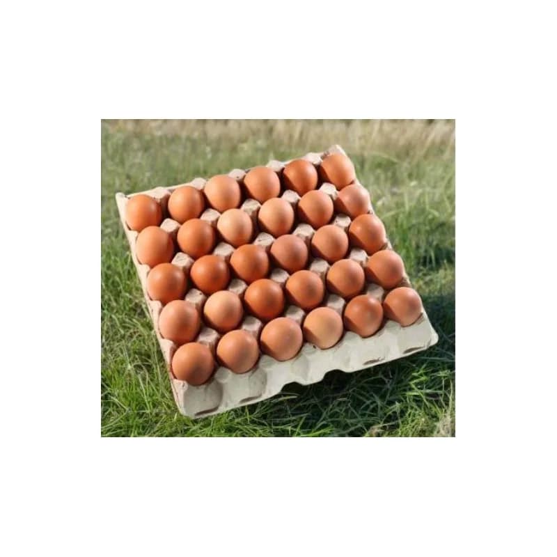 Fresh Eggs 30 nos Tray - Size 6