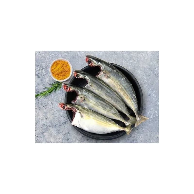 Mackerel / അയല (Ocean Bell) 908gm