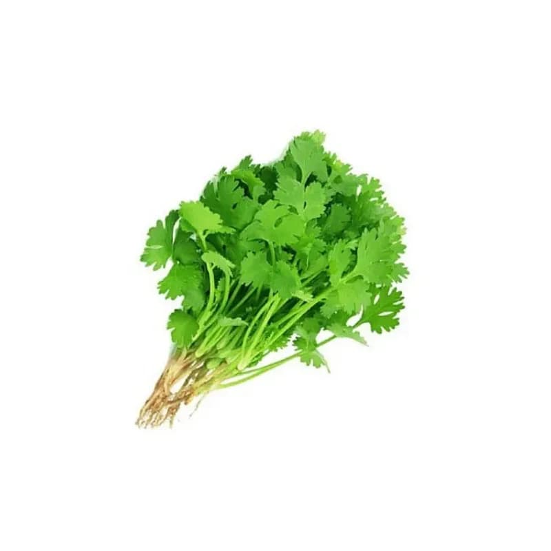 Coriander Leaves 1 Bunch