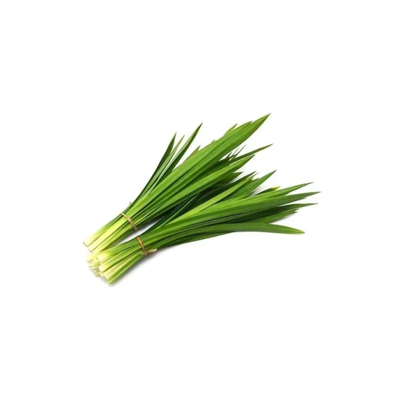 Frozen Pandan Leaf (Susiko) 100 G