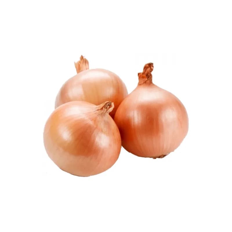 White Onion 10 kg